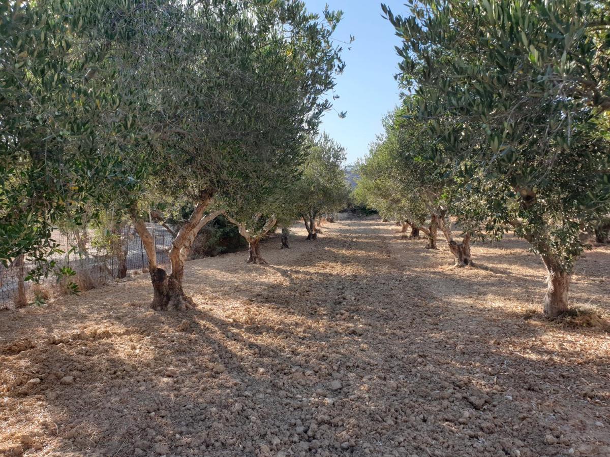Kos Harmony Apartmán *