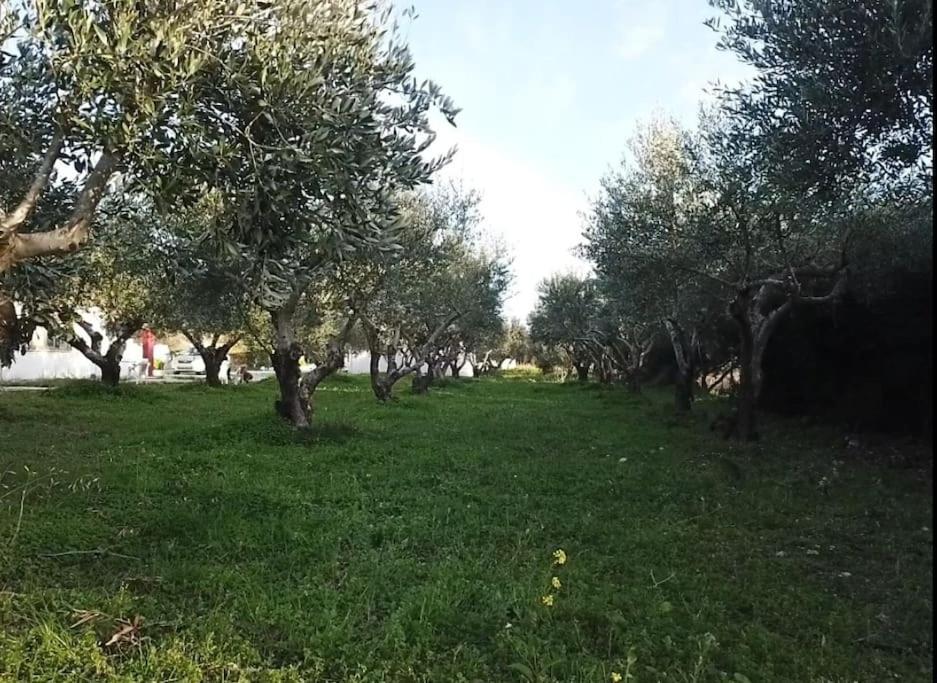 Kos Harmony *